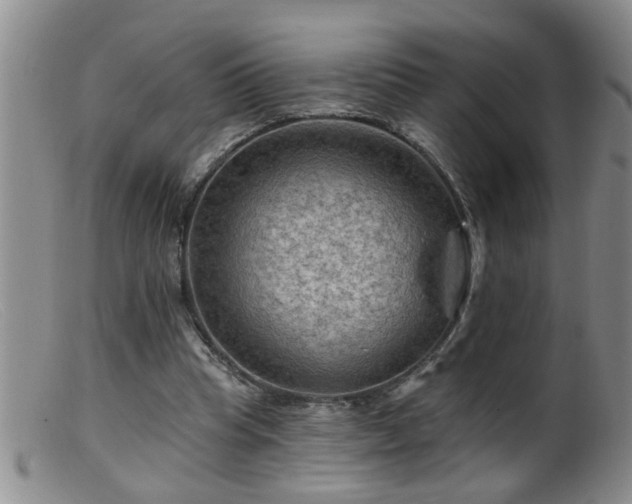 X0000099450345200805161027