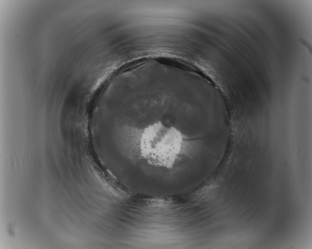 X0000099450347200805161027