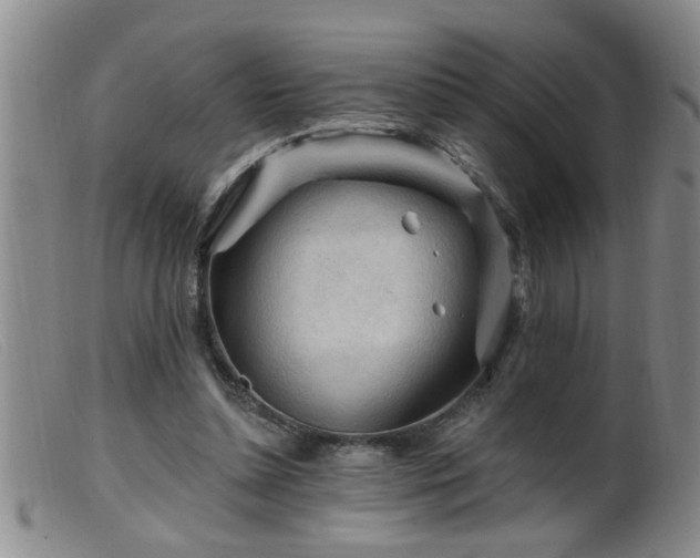 X0000099450348200805161027