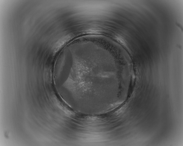 X0000099450349200805161027