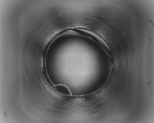 X0000099450350200805161027