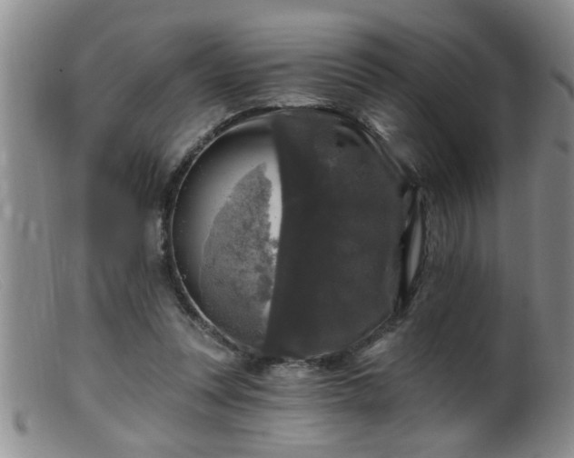 X0000099450351200805161027