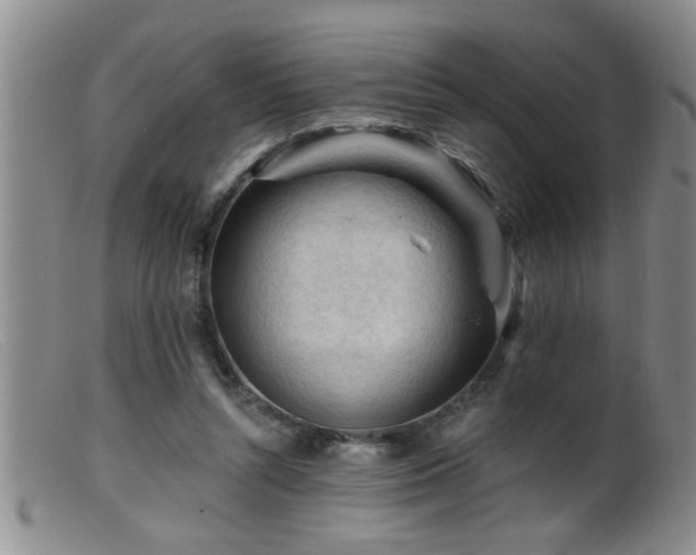 X0000099450352200805161027