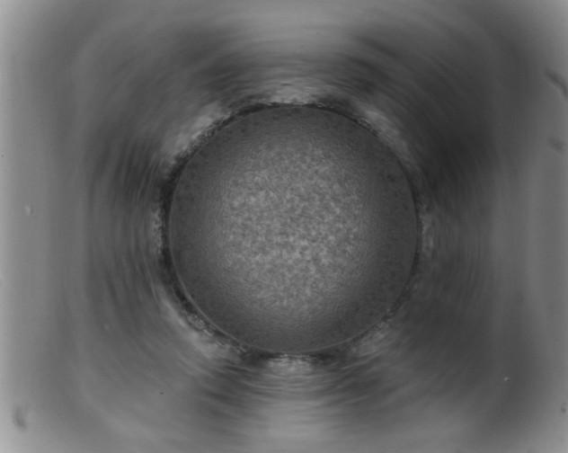 X0000099450354200805161028