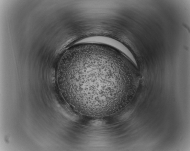 X0000099450356200805161028