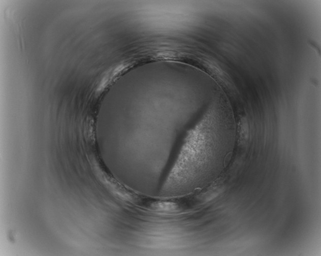 X0000099450361200805161028