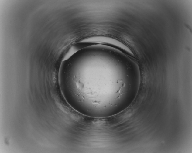 X0000099450362200805161028