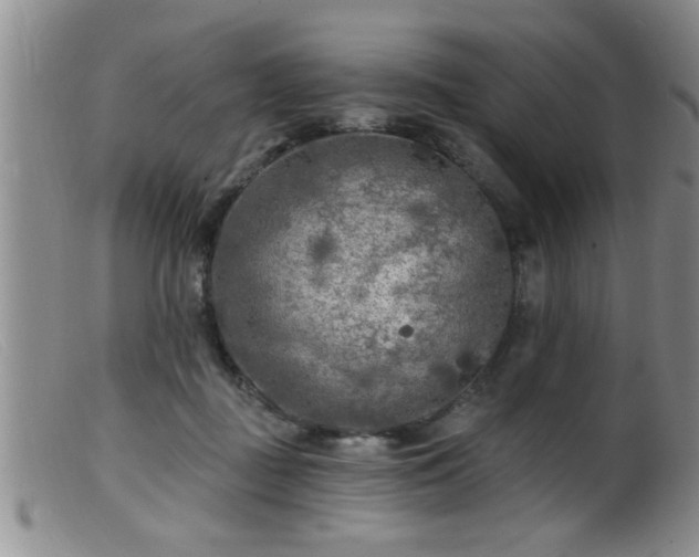 X0000099450363200805161028