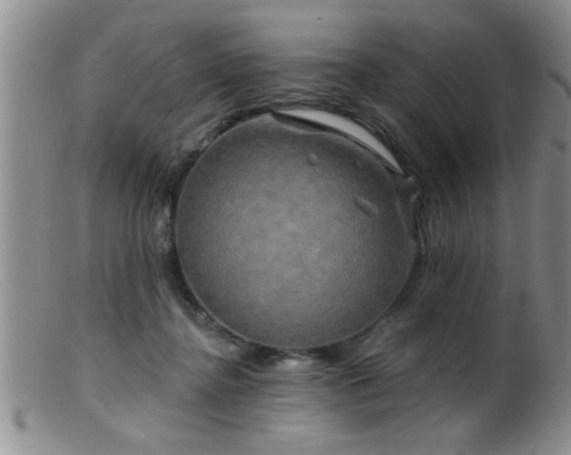 X0000099450364200805161028