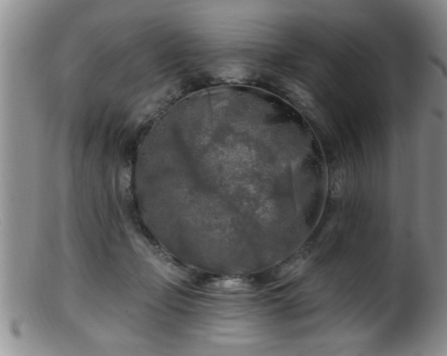 X0000099450365200805161028