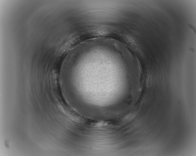 X0000099450366200805161028