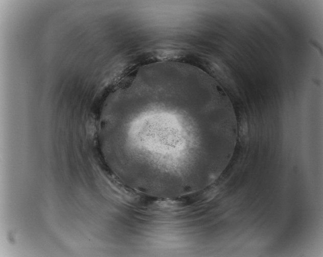 X0000099450367200805161028