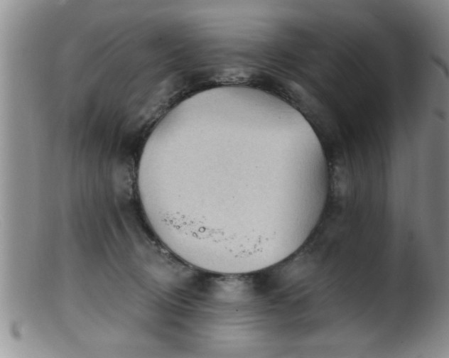 X0000099450370200805161028