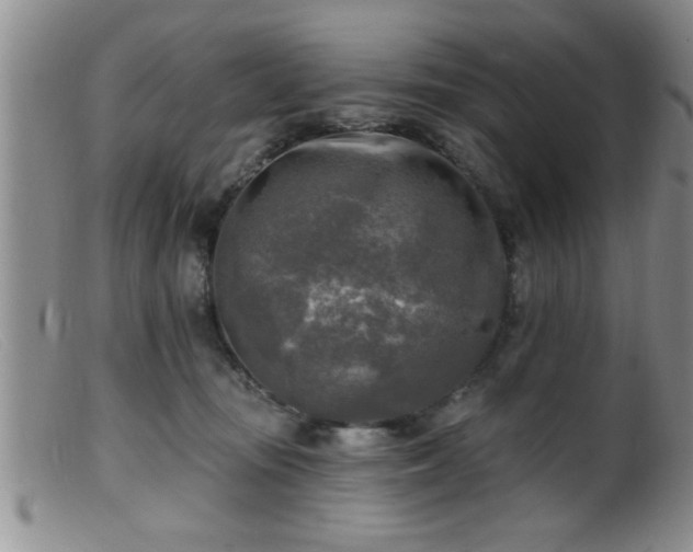 X0000099450371200805161028