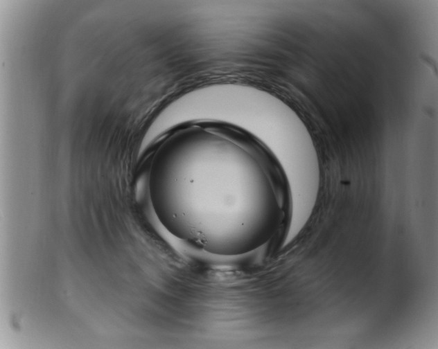 X0000099450372200805161028