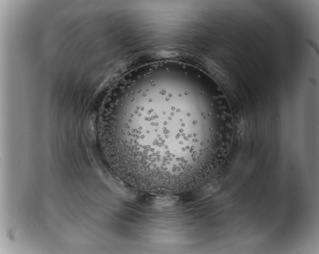 X0000099450373200805161028