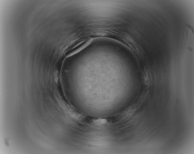 X0000099450374200805161028