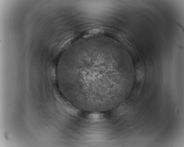 X0000099450375200805161028