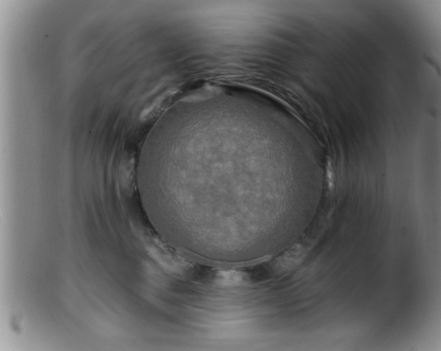 X0000099450376200805161028