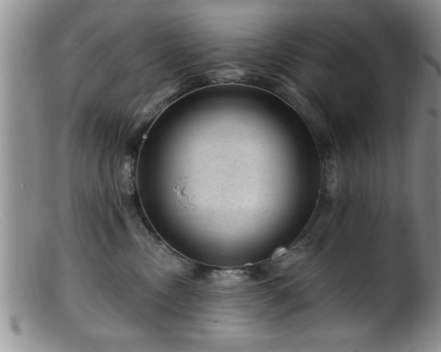 X0000099450378200805161028