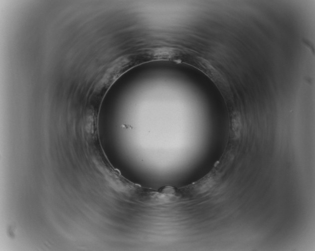 X0000099450379200805161028