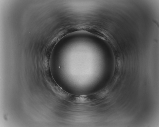 X0000099450380200805161028