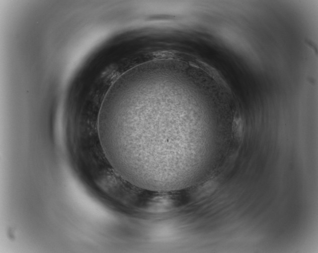 X0000099450381200805161028