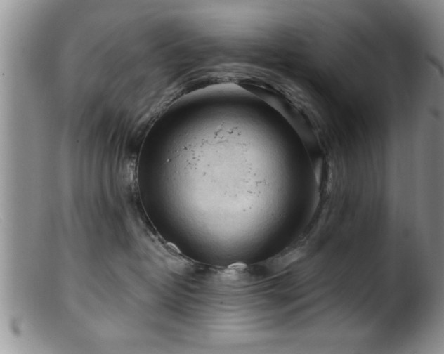 X0000099450382200805161028