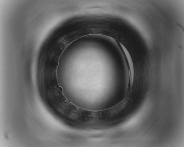 X0000099450383200805161028