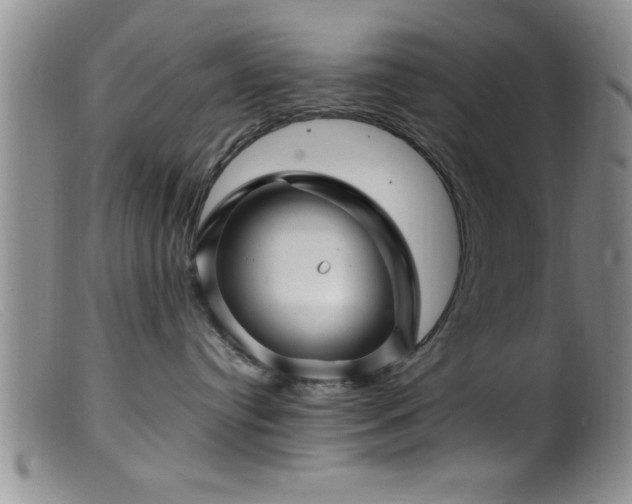 X0000099450384200805161028