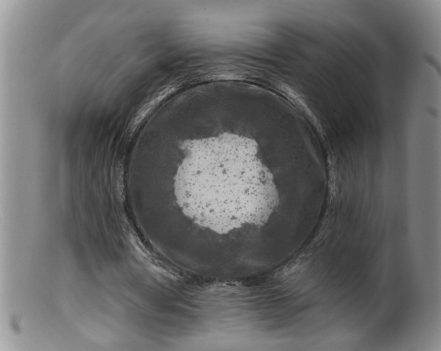 X0000099450386200805161027