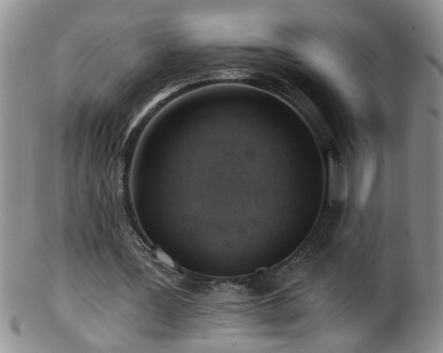 X0000099450387200805161027