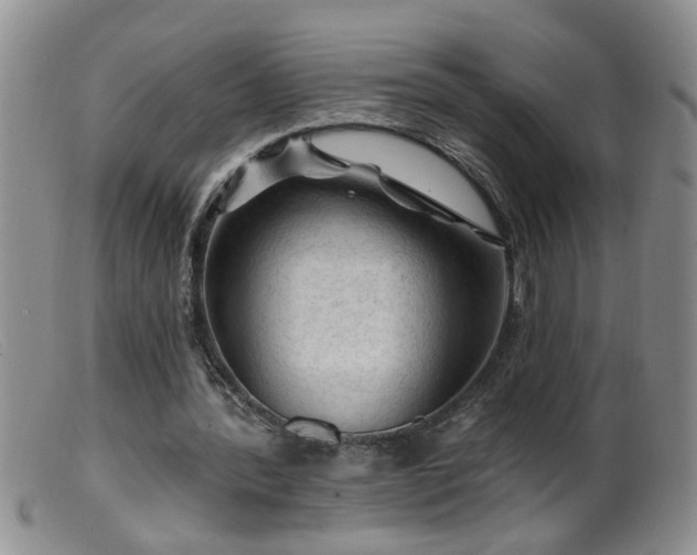 X0000099450388200805161027