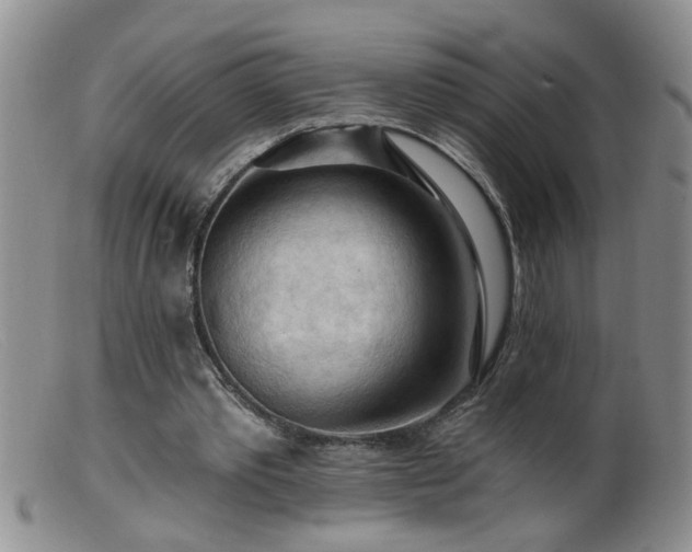 X0000099450389200805161027