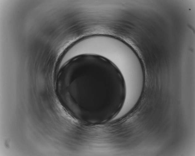 X0000099450391200805161027