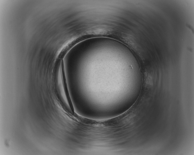 X0000099450392200805161027