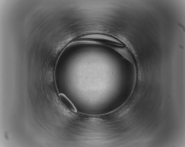 X0000099450393200805161027