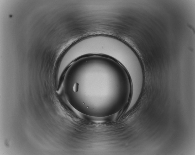 X0000099450395200805161027