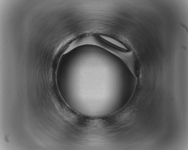 X0000099450396200805161027