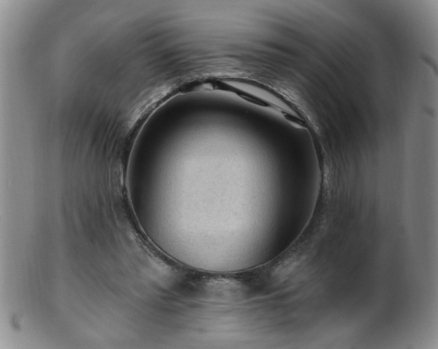 X0000099450397200805161027