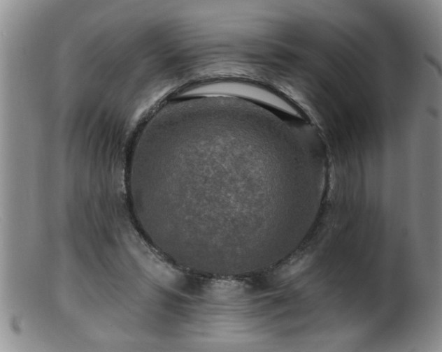 X0000099450399200805161027