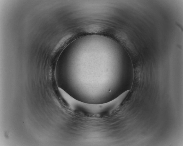 X0000099450400200805161027