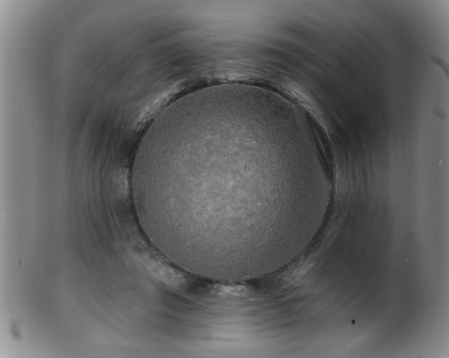 X0000099450401200805161027