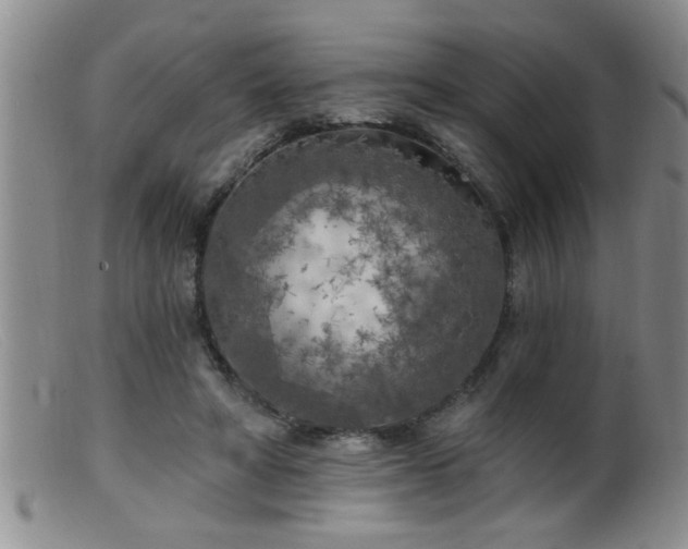 X0000099450402200805161027