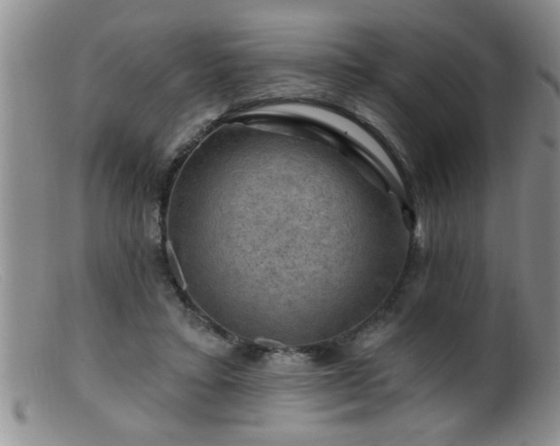 X0000099450403200805161027