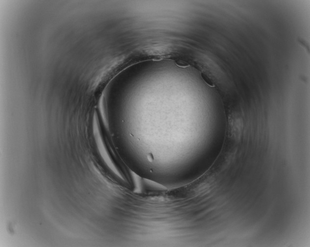 X0000099450404200805161027