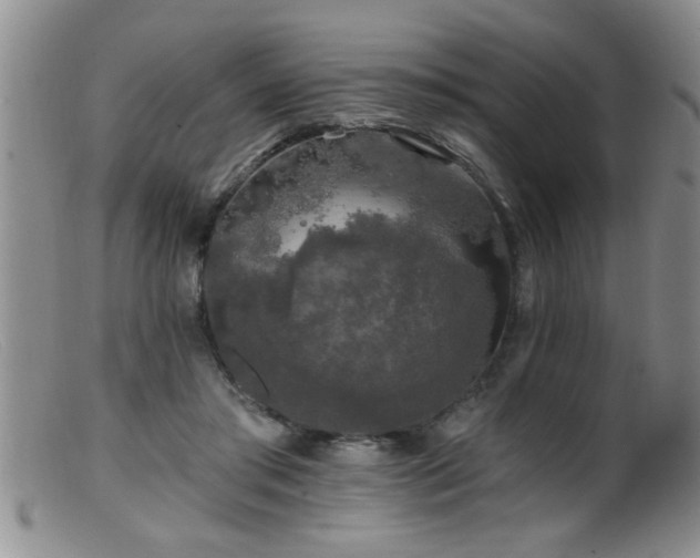 X0000099450405200805161027