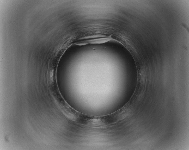 X0000099450406200805161027