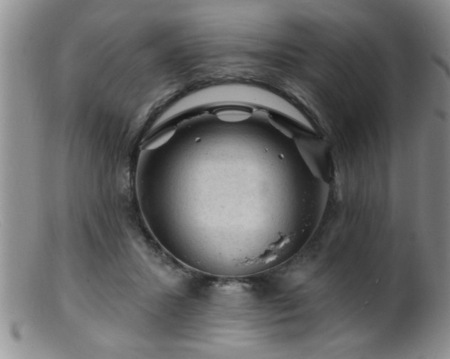 X0000099450407200805161027