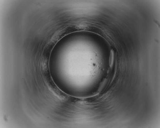 X0000099450408200805161027